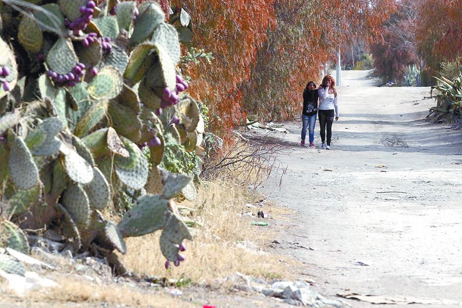 $!Un lugar llamado Navidad