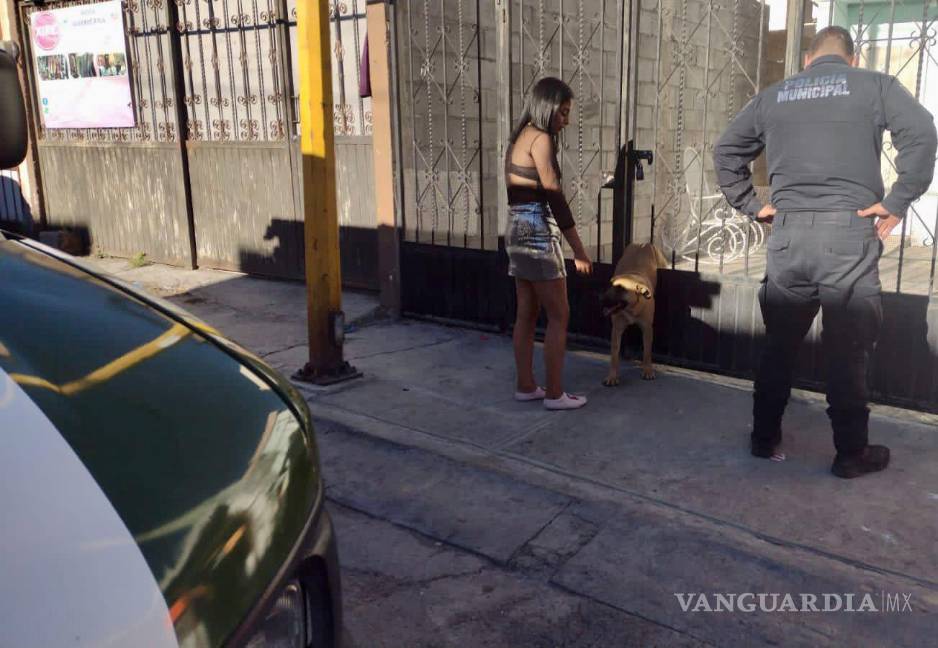 Provoca pirotecnia que desde perros hasta caballos huyan de sus hogares en Saltillo