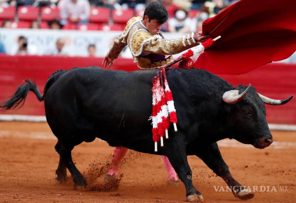 $!El torero mexicano Fermín Rivera lidia su primer toro, Carloto de 522 Kg, en la ultima Corrida de Feria de Aniversario en la Plaza de Toros. EFE/Mario Guzmán