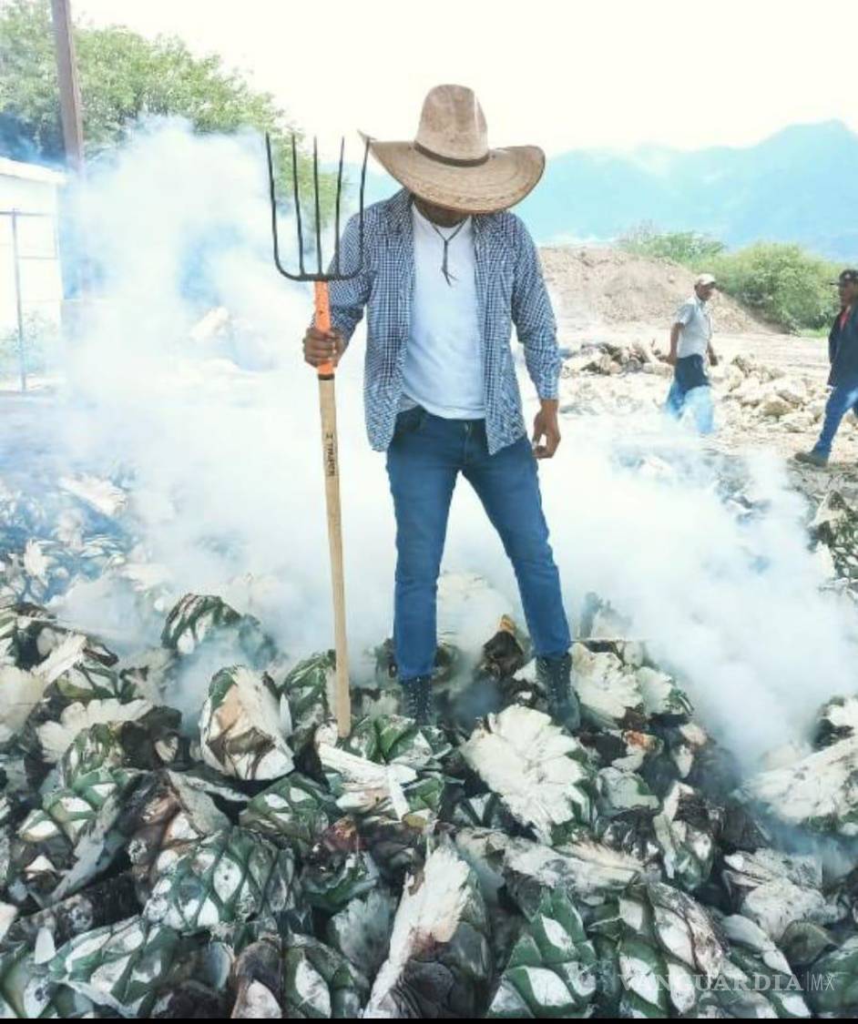 $!Un maestro mezcalero supervisa la delicada etapa de cocción del agave en el horno cónico de piedra.