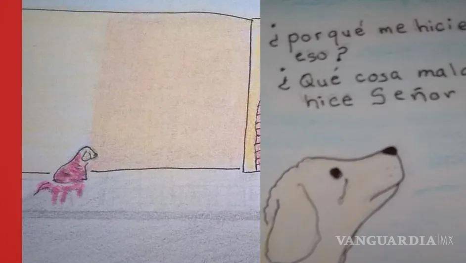 $!Mily se convirtió en símbolo de la lucha contra la crueldad animal en Coahuila.