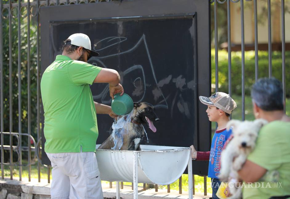 $!La Dirección de Salud Pública ofreció detecciones médicas, orientación nutricional y vacunación para mascotas, sin costo alguno.