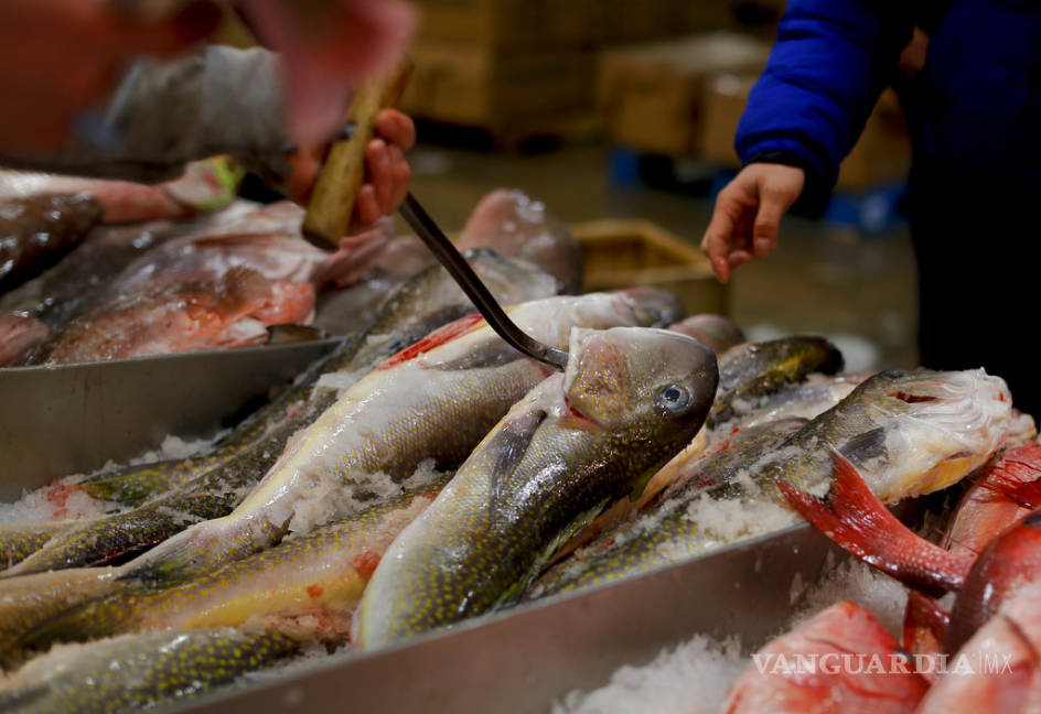 $!EU importó más pescados en 2017 que nunca