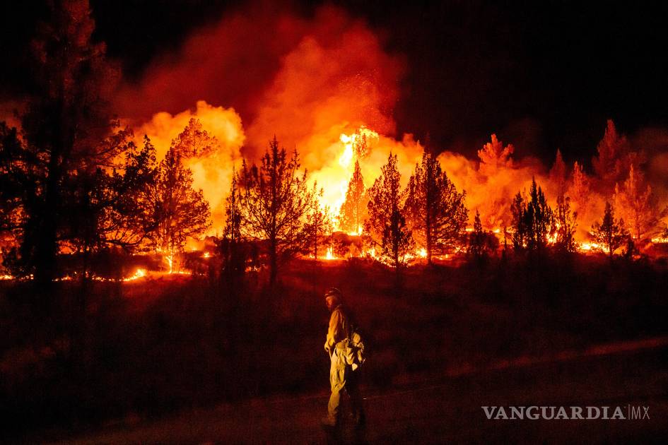 Aunque los incendios son más extremos en Europa y Norteamérica, los fuegos se reducen a nivel global
