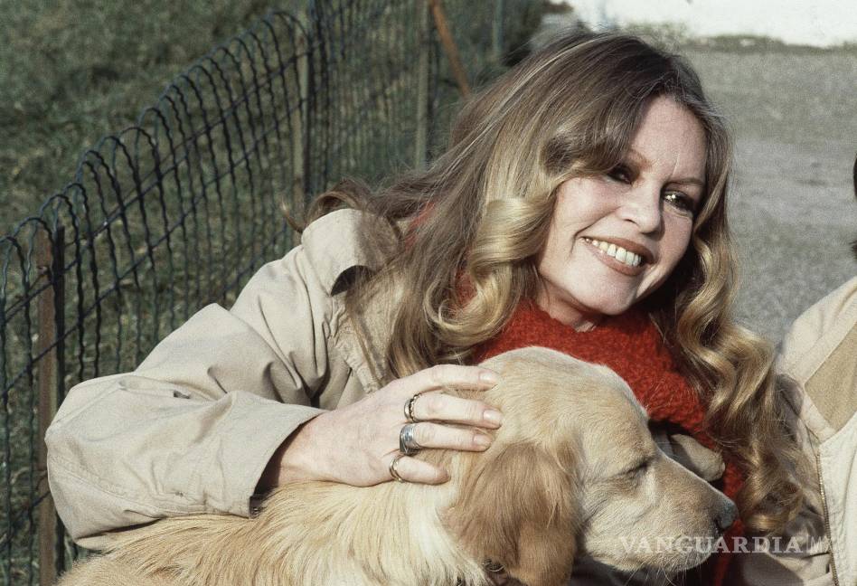 $!La actriz francesa Brigitte Bardot con un perro mientras apoyaba la operación de la sociedad protectora de animales francesa, el 10 de febrero de 1982, en Gennevilliers, París.