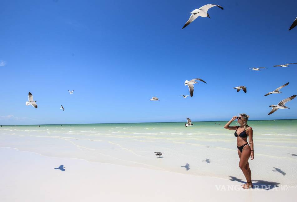 $!Holbox es una isla sin autos, con calles de arena y un ritmo pausado que te invita a dejar el celular y disfrutar del momento.