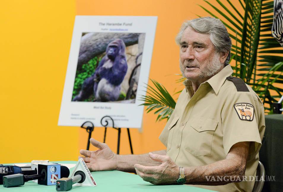 $!Piden investigar a zoológico que sacrificó a gorila; acusan negligencia