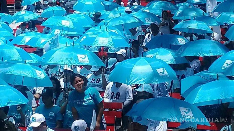 El Panal buscará recuperar su registro nacional