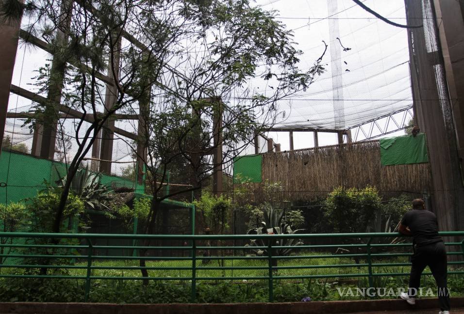 $!Plantean iniciativa para transformar zoos del país en bioparques