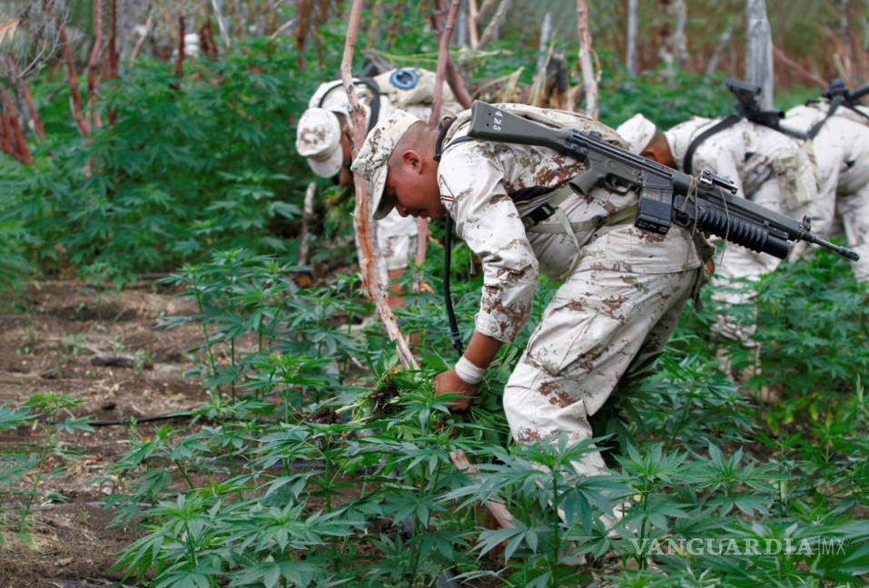 $!‘La guerra contra las drogas debe terminar’