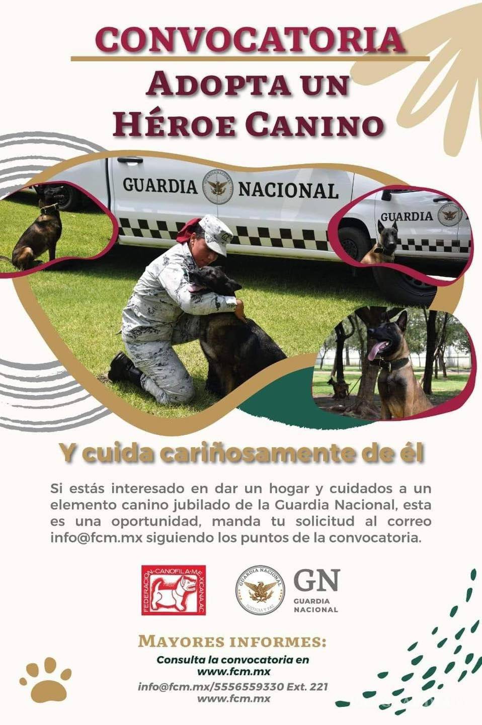 $!La comunidad se une al llamado de adoptar perros jubilados, ofreciendo un hogar a estos héroes de cuatro patas y continuando su legado de servicio y amor incondicional.