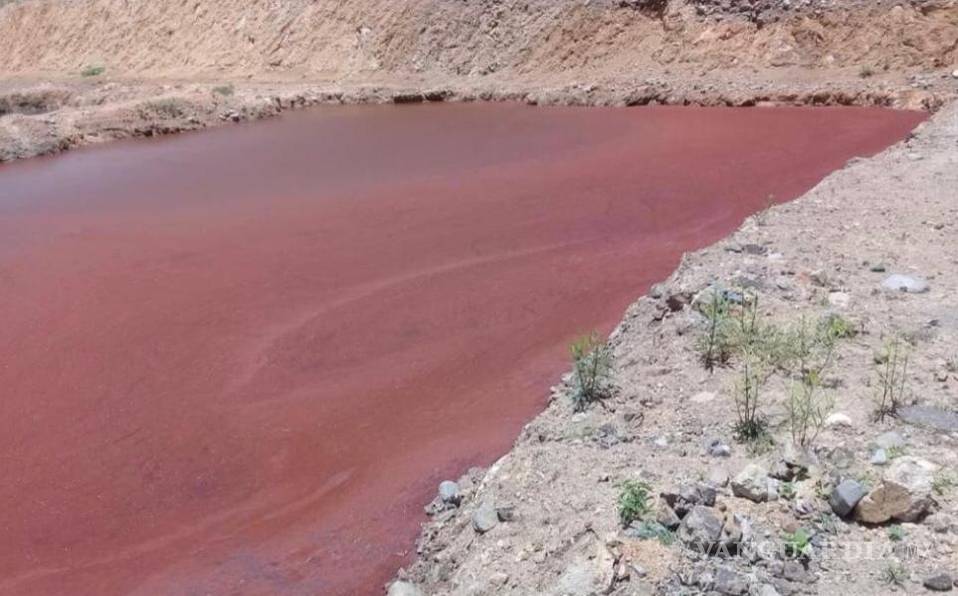 Minera canadiense contamina río en Oaxaca