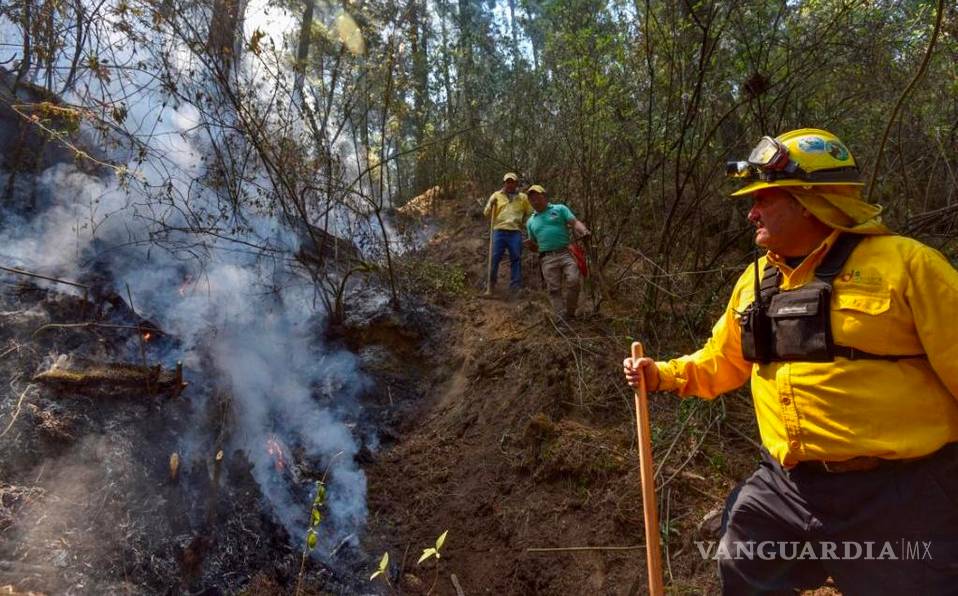 Conafor prácticamente es inoperante, advierten agrupaciones forestales