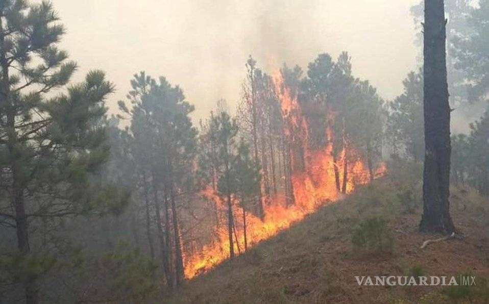 $!Evacuan a más de 100 familias en Veracruz por incendio forestal