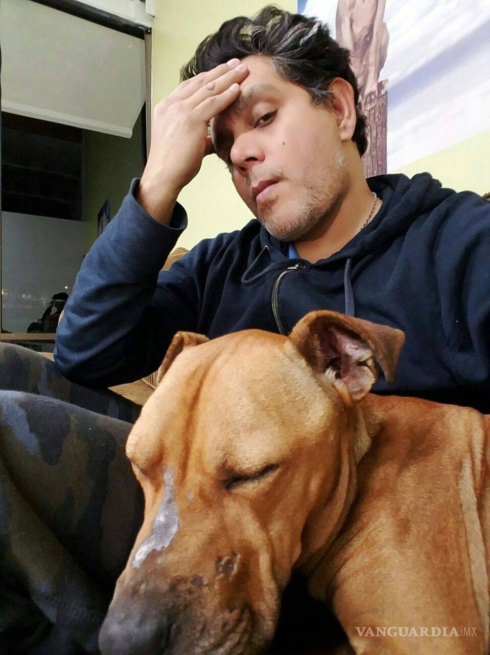 $!Revelan que el perro Max fue violentado a golpes y que sufre de desnutrición