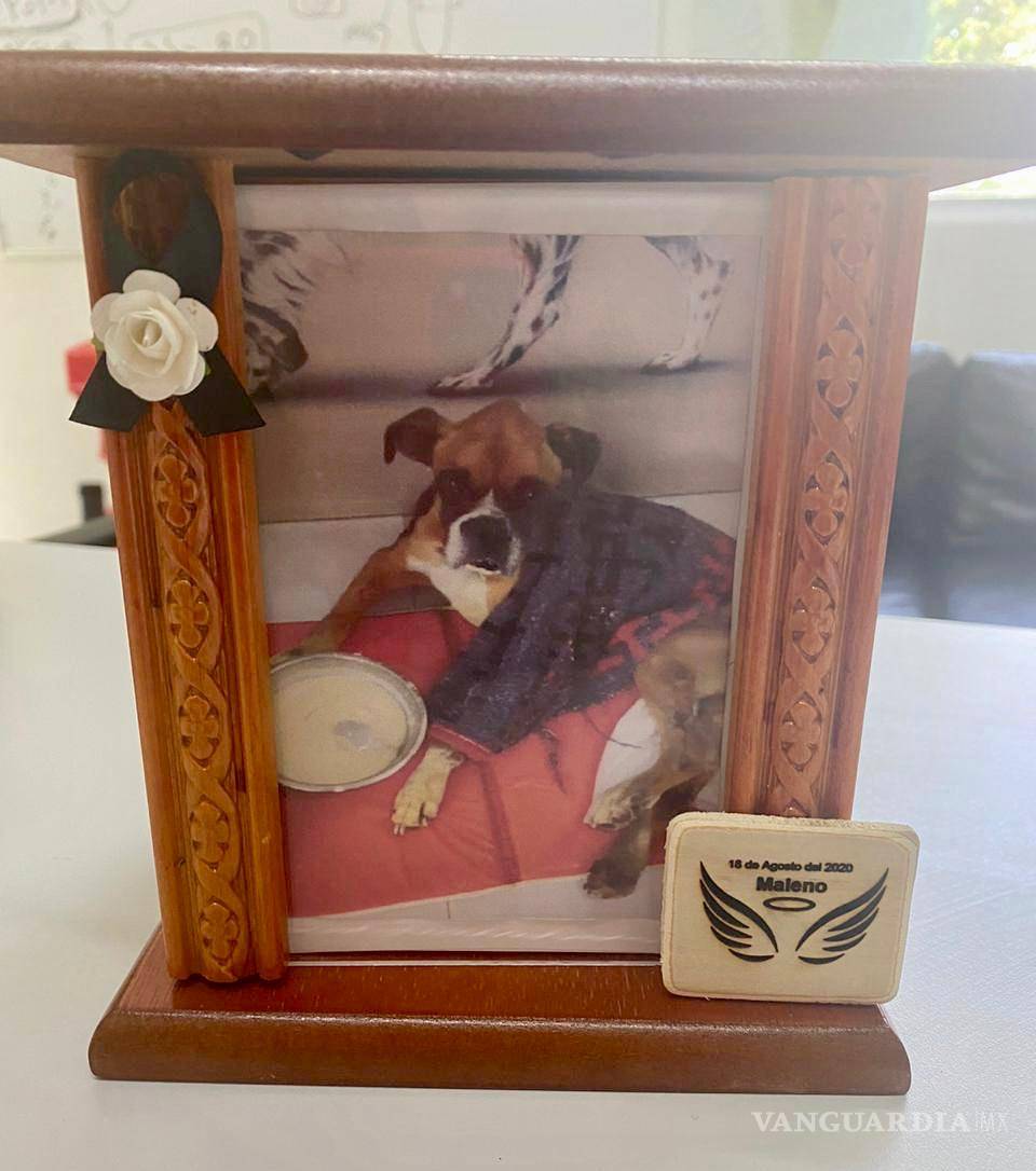 $!Llevan a juicio a dueños de perro maltratado en NL; el primero en el país