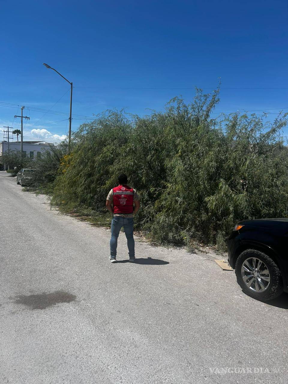 $!Atención Ciudadana intensifica acciones para atender denuncias vecinales sobre lotes baldíos.