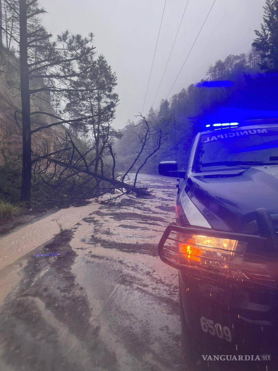 $!Autoridades, organizaciones y voluntarios trabajan en la retención de suelo para evitar mayores deslaves en el cañón de Los Lirios.