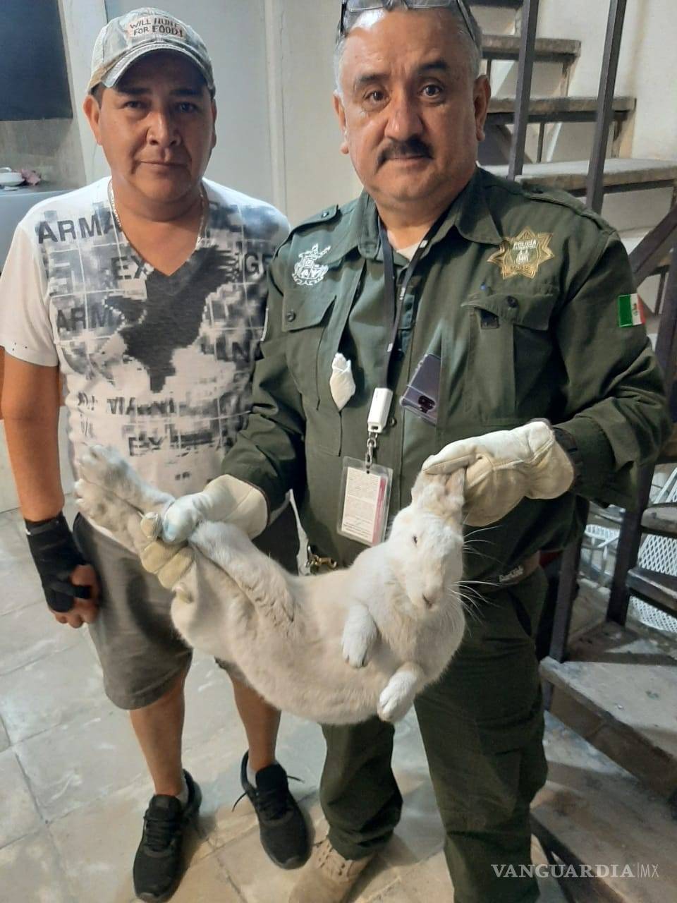 $!Invaden animales silvestres zona urbana de Saltillo