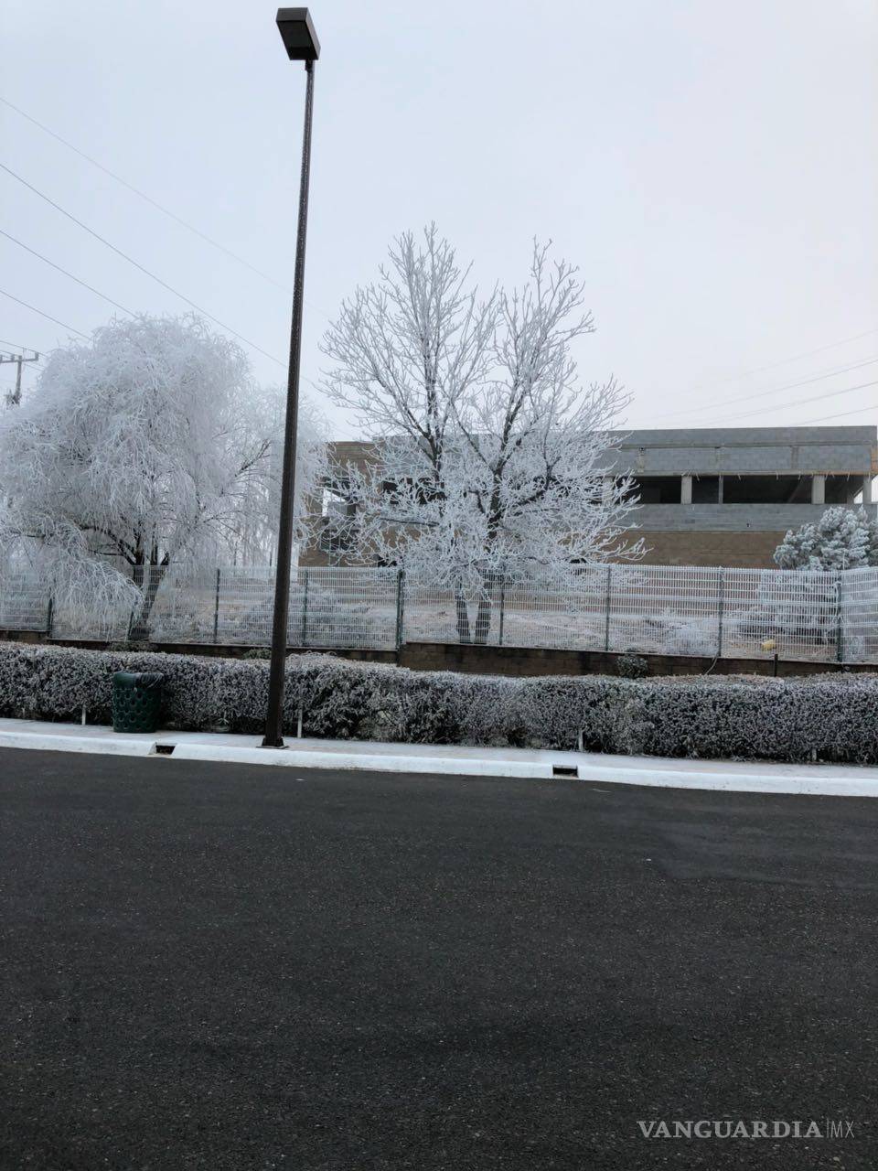 $!Se reporta ausentismo mínimo y retrasos en el sector industrial de Saltillo por mal clima