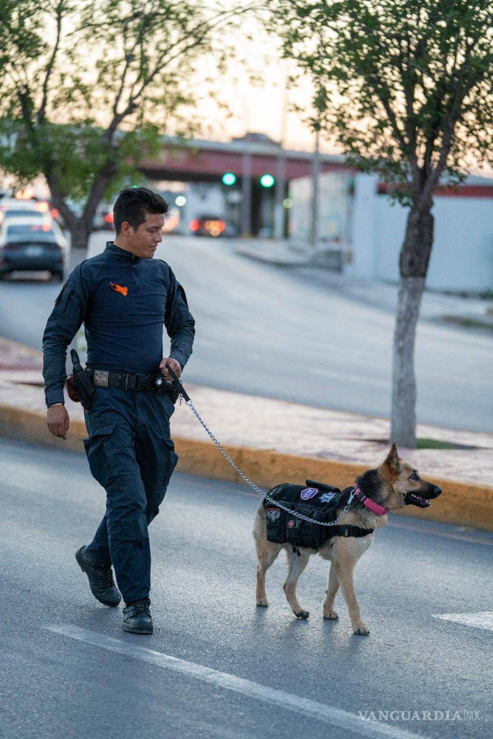 $!El evento fortaleció el compromiso con la esterilización y la adopción responsable.