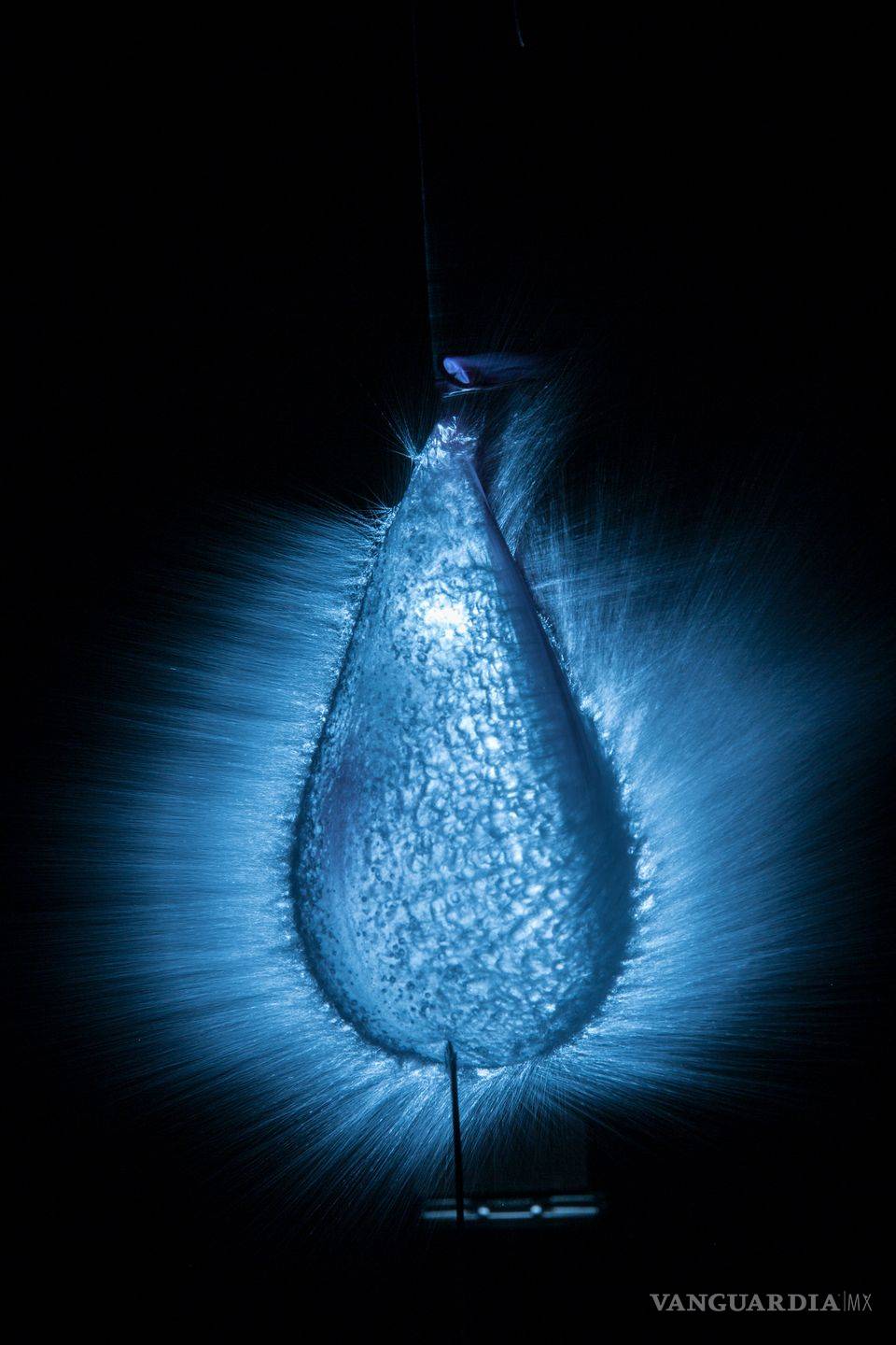 $!Las 10 fotos más espectaculares de National Geographic