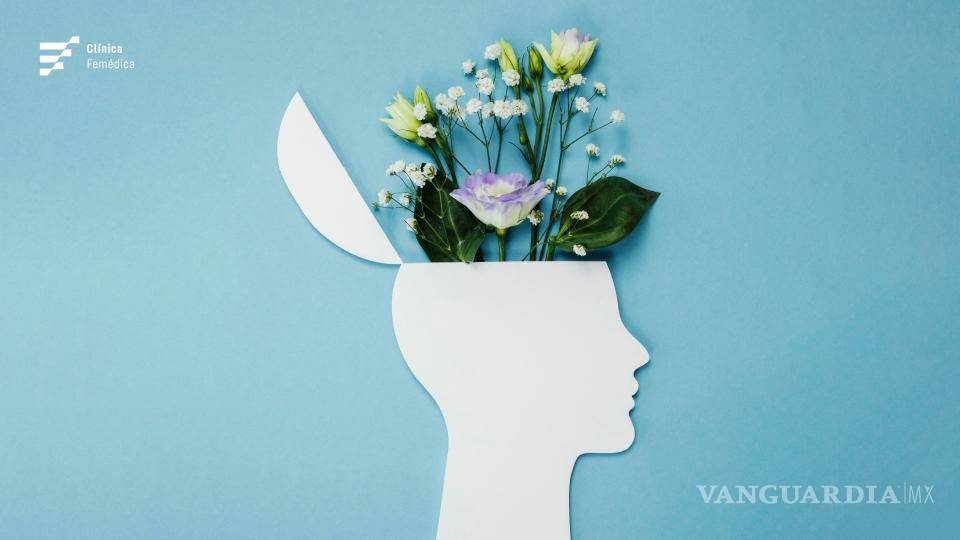 $!“Salud mental” aparece en primer lugar en el ámbito de la problemática y desarrollo social.