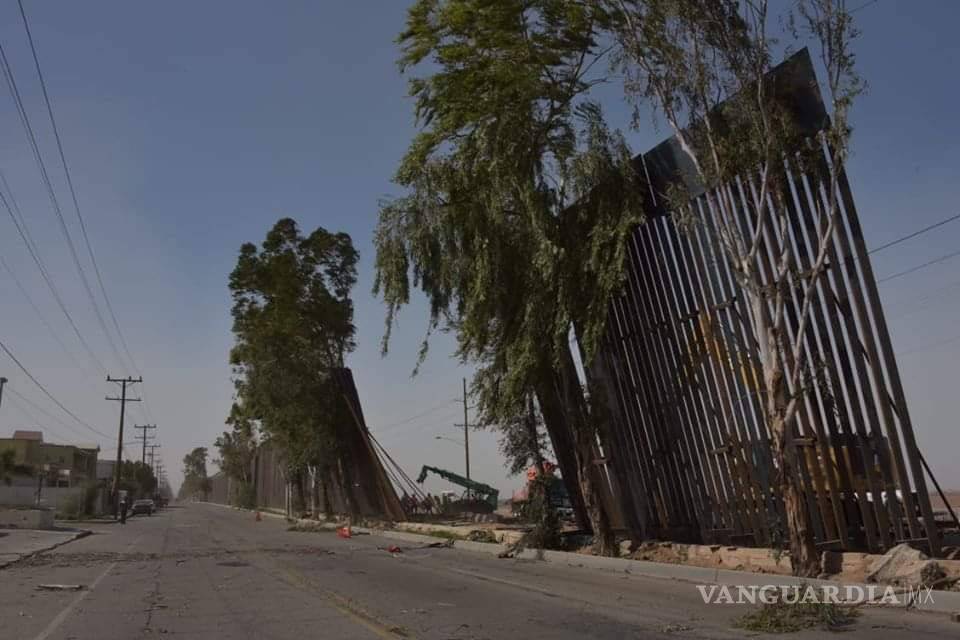 $!‘Tumba’ viento muro de Trump en Mexicali