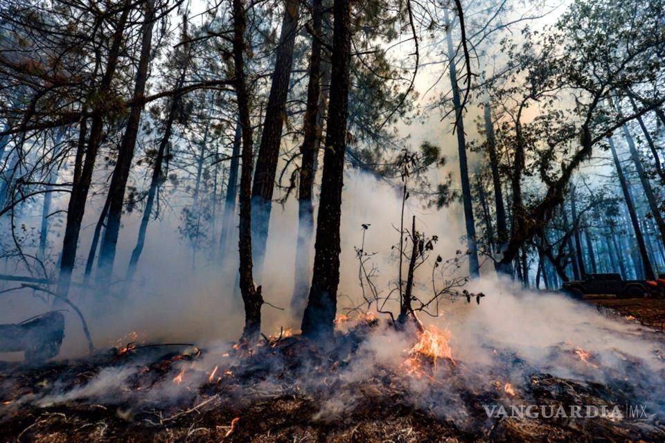 $!Incendio forestal en la sierra de Santiago, NL, no termina de ceder