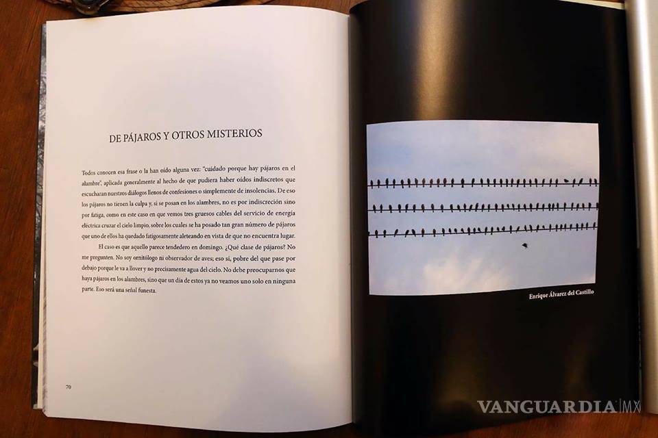 $!Presentan el libro 'La Ventana Indiscreta', en el que las imágenes se hacen palabras