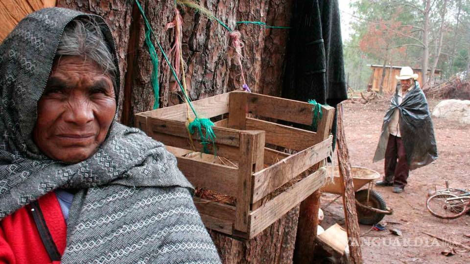 ¿Cuánto racismo o discriminación por el color de piel hay en México?