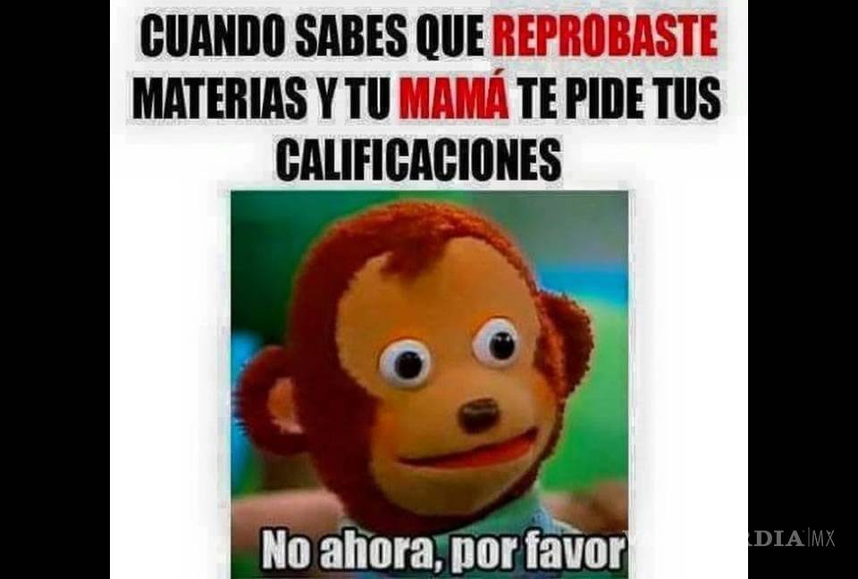 $!Los mejores memes de 2016