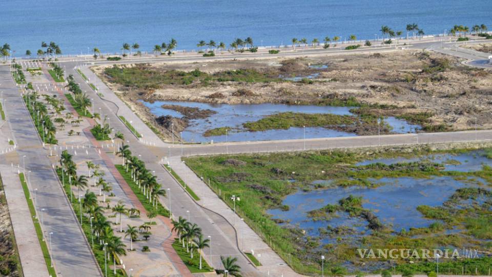Así destruyeron el manglar de Tajamar, en Quintana Roo