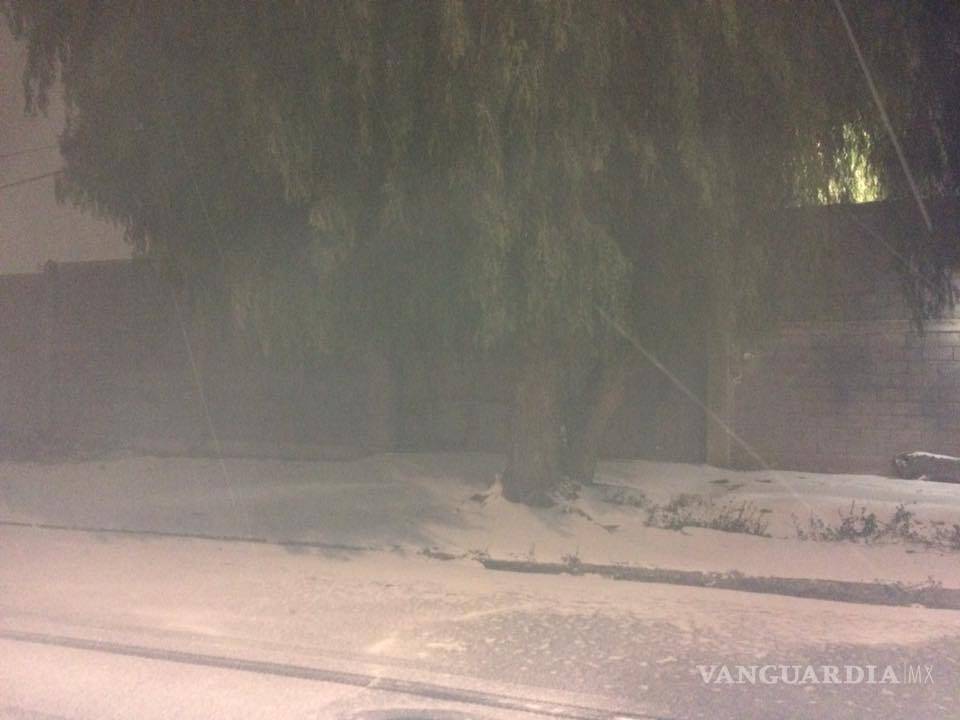 $!Nevada en Saltillo; por seguridad cierran puentes