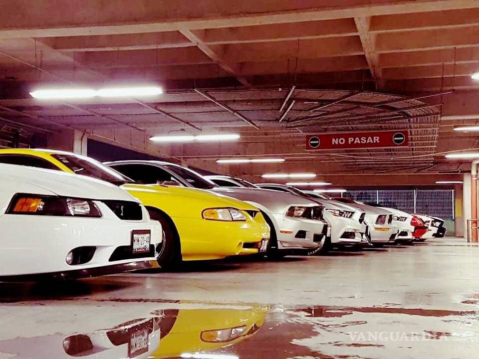 $!EU quiere romper el récord Guinness de México de la caravana de Mustangs más larga