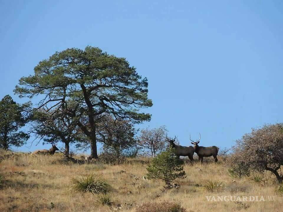 $!En la reserva natural lo que uno se encuentra es fabuloso. Foto de Julio Cesar Mújica.