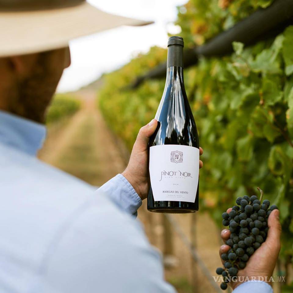$!Arteaga, ideal para producir Pinot Noir
