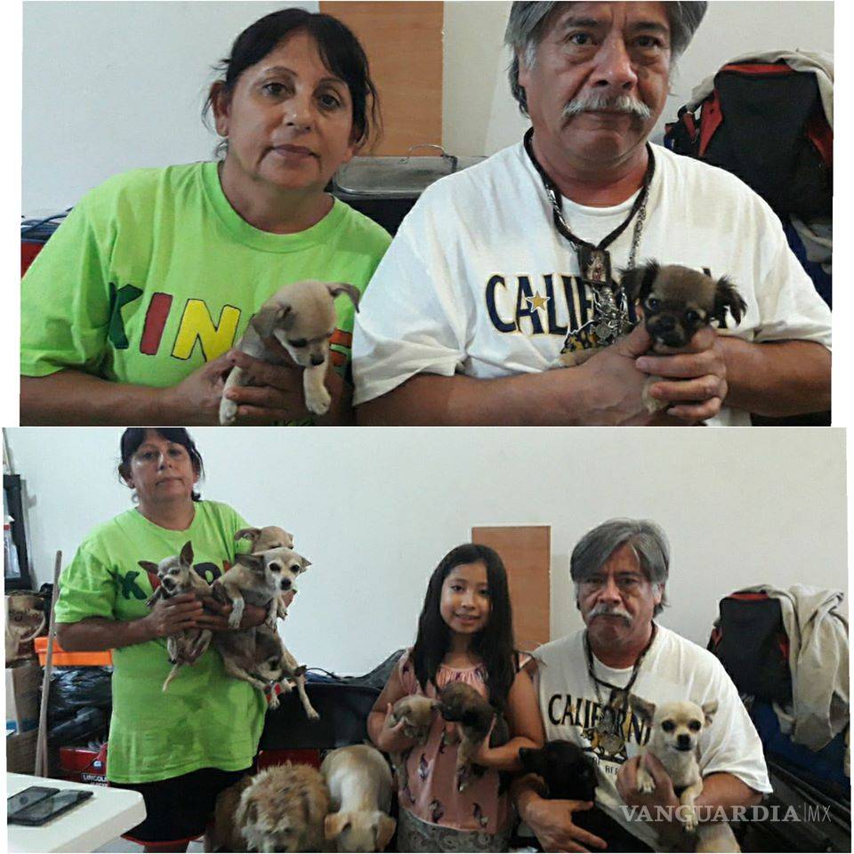 $!Pierden todo por el huracán Hanna, pero salvan a sus 7 perros