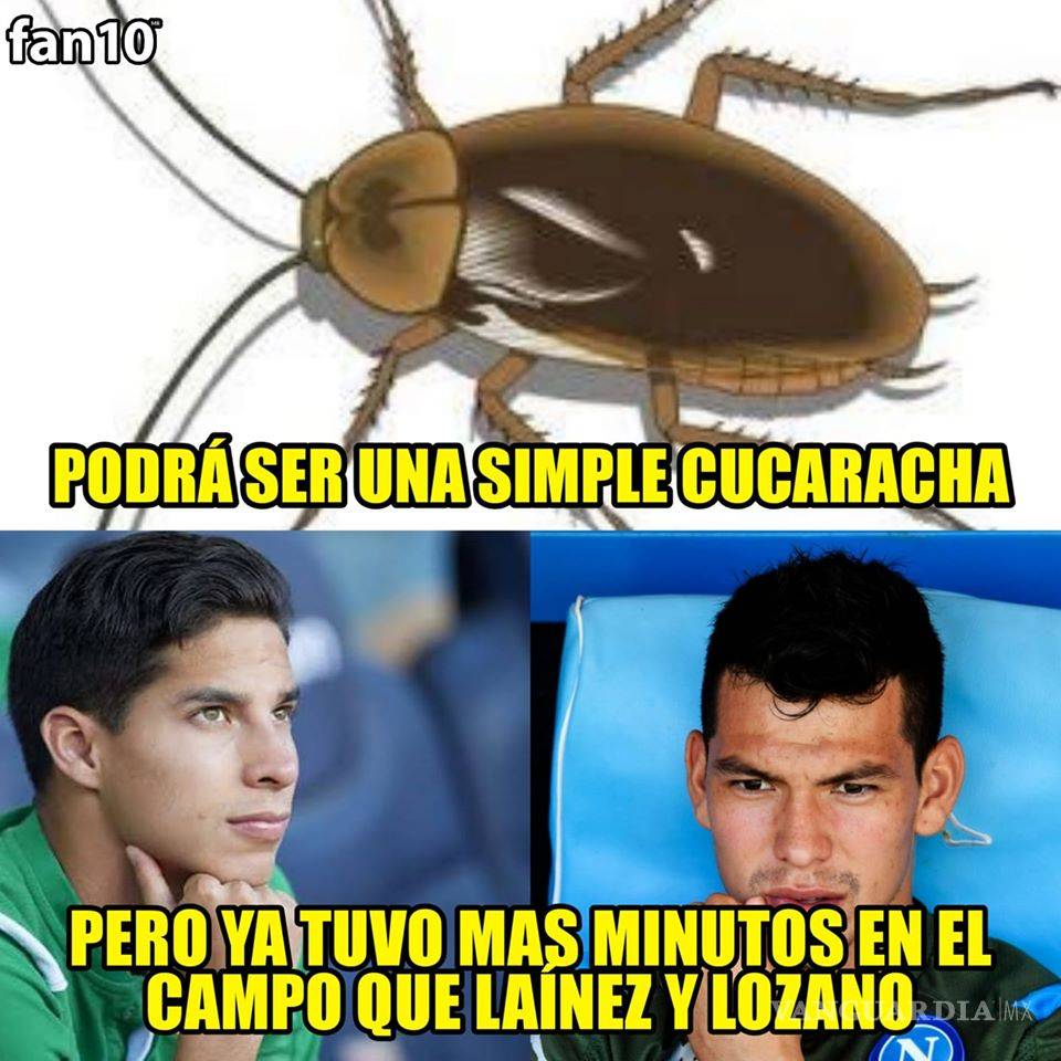 $!Los memes de la derrota del Mazatlán con cucarachas incluidas