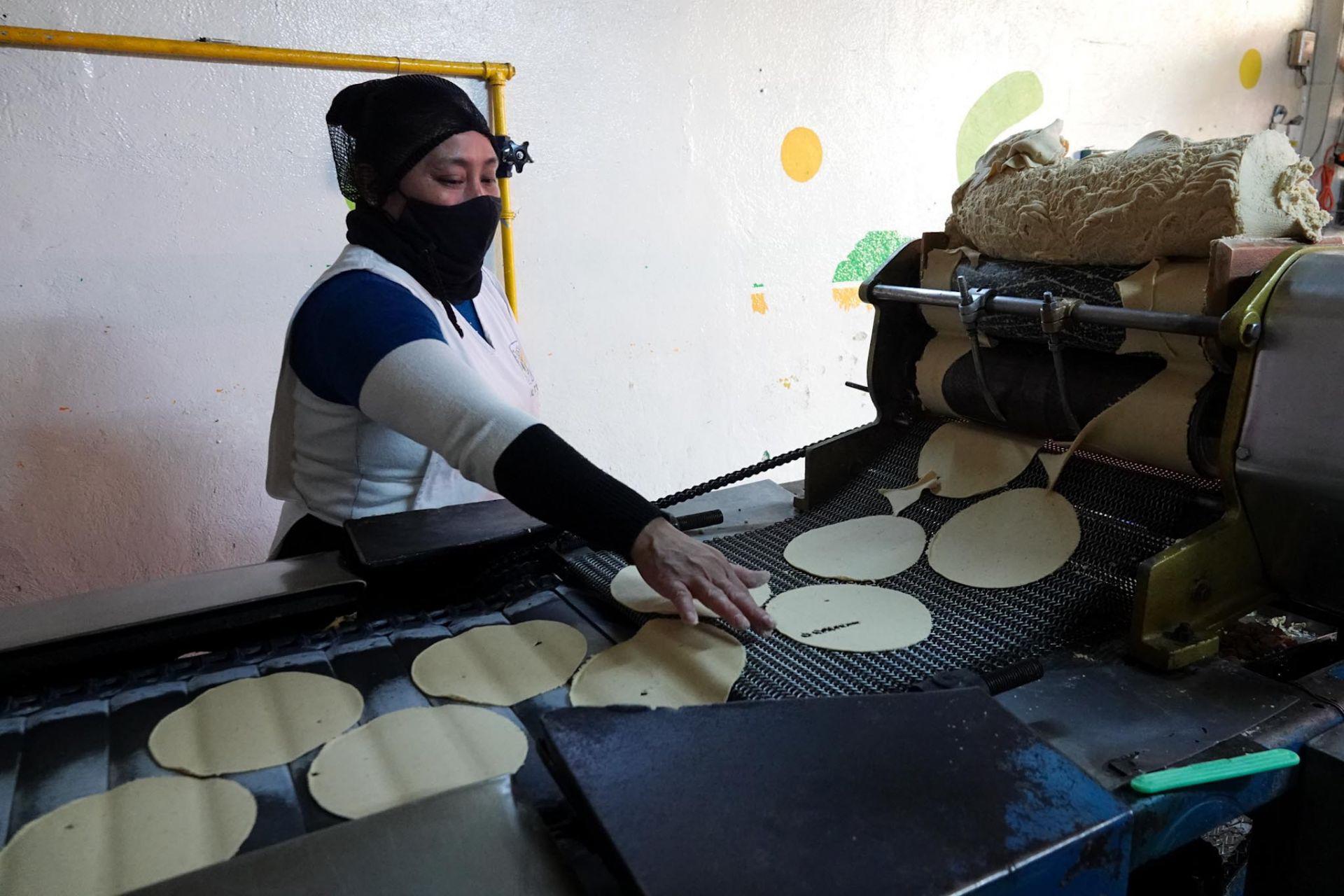 Tras rumores de aumento, gobierno e industria acuerdan medidas y afirman: ‘no sube la tortilla’