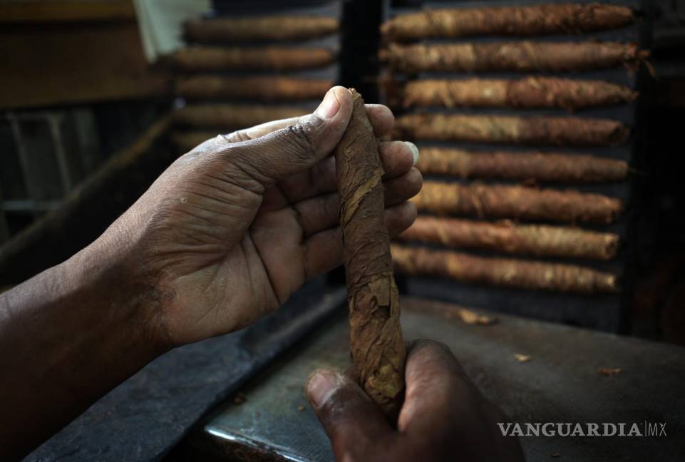 $!En la imagen, un torcedor trabaja en la confección de un tabaco, en la fábrica de puros La Corona, en La Habana (Cuba).