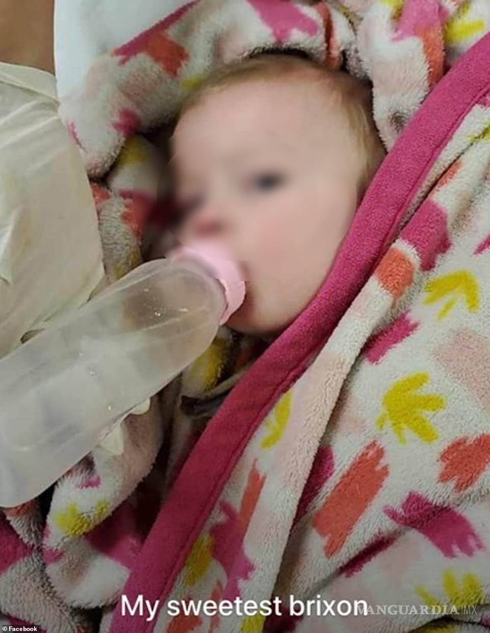 $!Ellos son los niños que sobrevivieron a la masacre de la familia LeBarón (fotos)