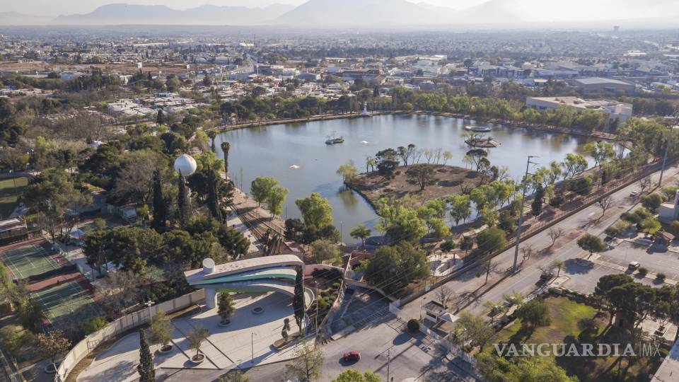 Saltillo por primera vez se deja ver rara especie de ave en el lago de