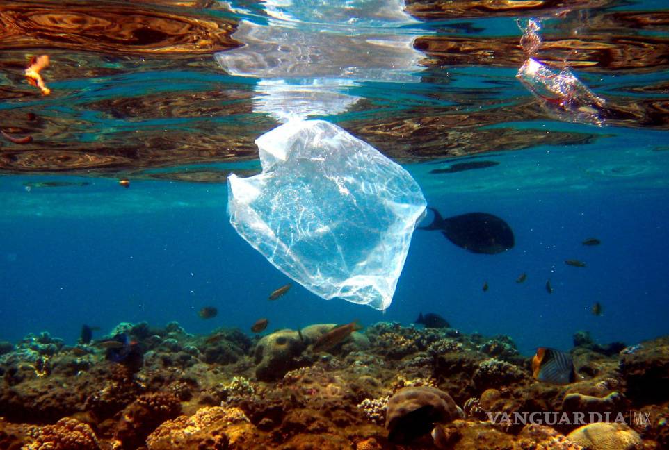 $!Se sabe que el 5% del plástico que se produce anualmente acaba en los océanos.