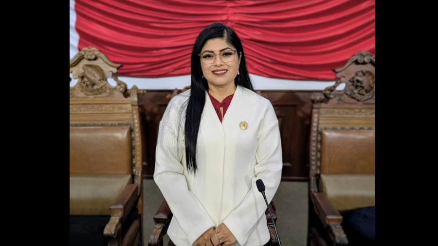 La diputada de Morena, Delia Hernández, presentó una iniciativa para reformar el Código Penal de Coahuila en materia de abuso sexual.