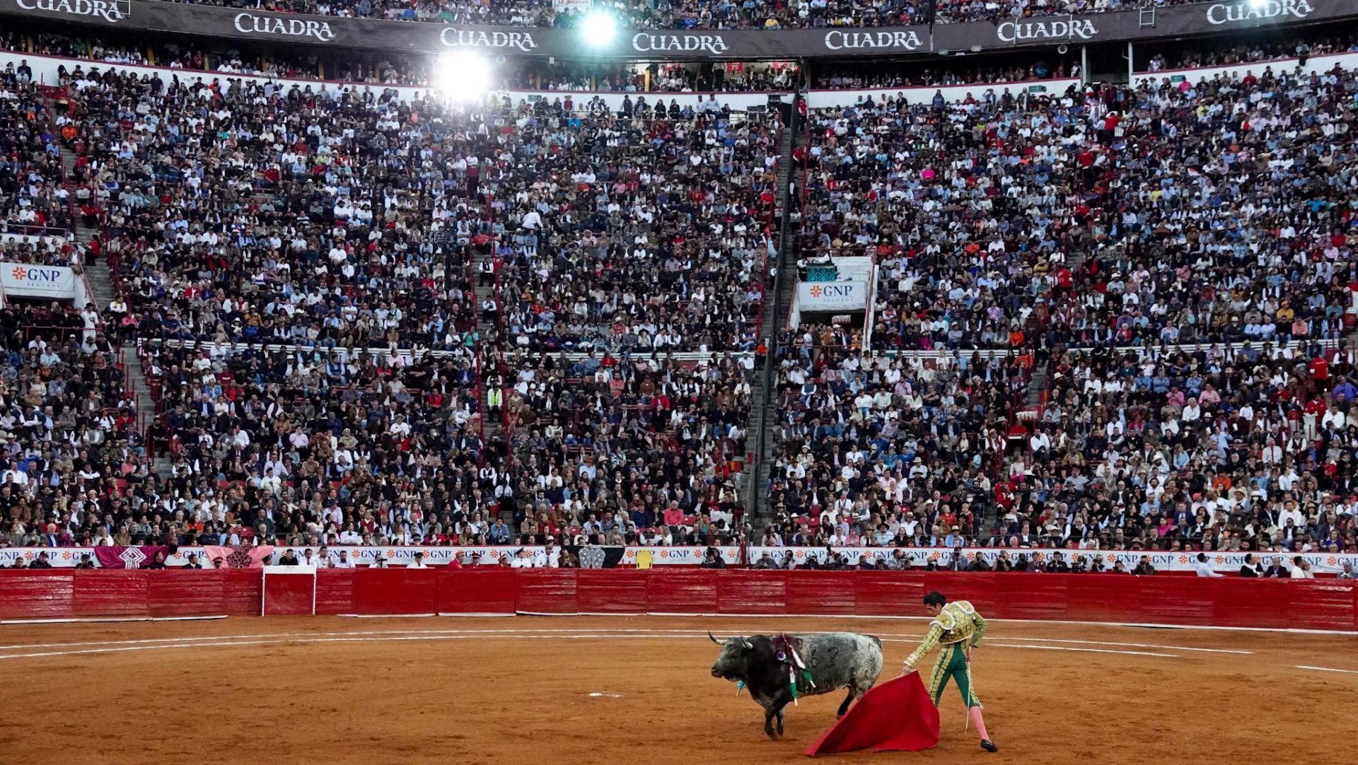 Corridas de toros en la Plaza México no se suspenderán; jueza niega amparo a colectivo. Noticias en tiempo real
