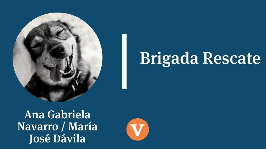 Entre armas y doctrinas