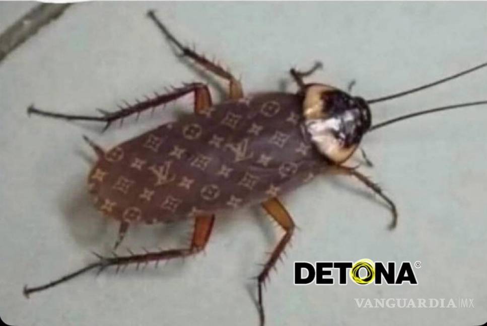 $!En las casas de éstos, hasta las cucarachas son de Marca.