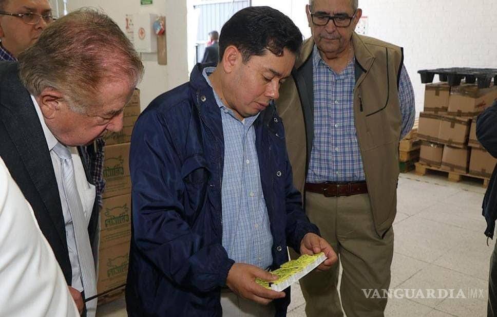 Asigna la Federación más recursos para el combate del gusano barrenador de ganado, anuncia la Senasica