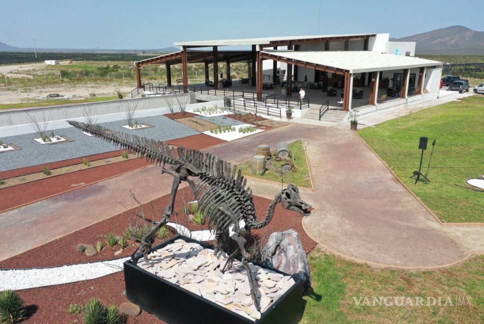 $!Ahora el atractivo es el dinosaurio 'frente de vela de Coahuila'